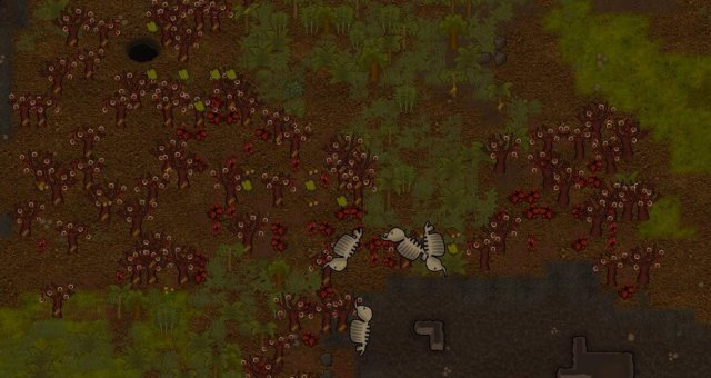 rimworld how to tame animals